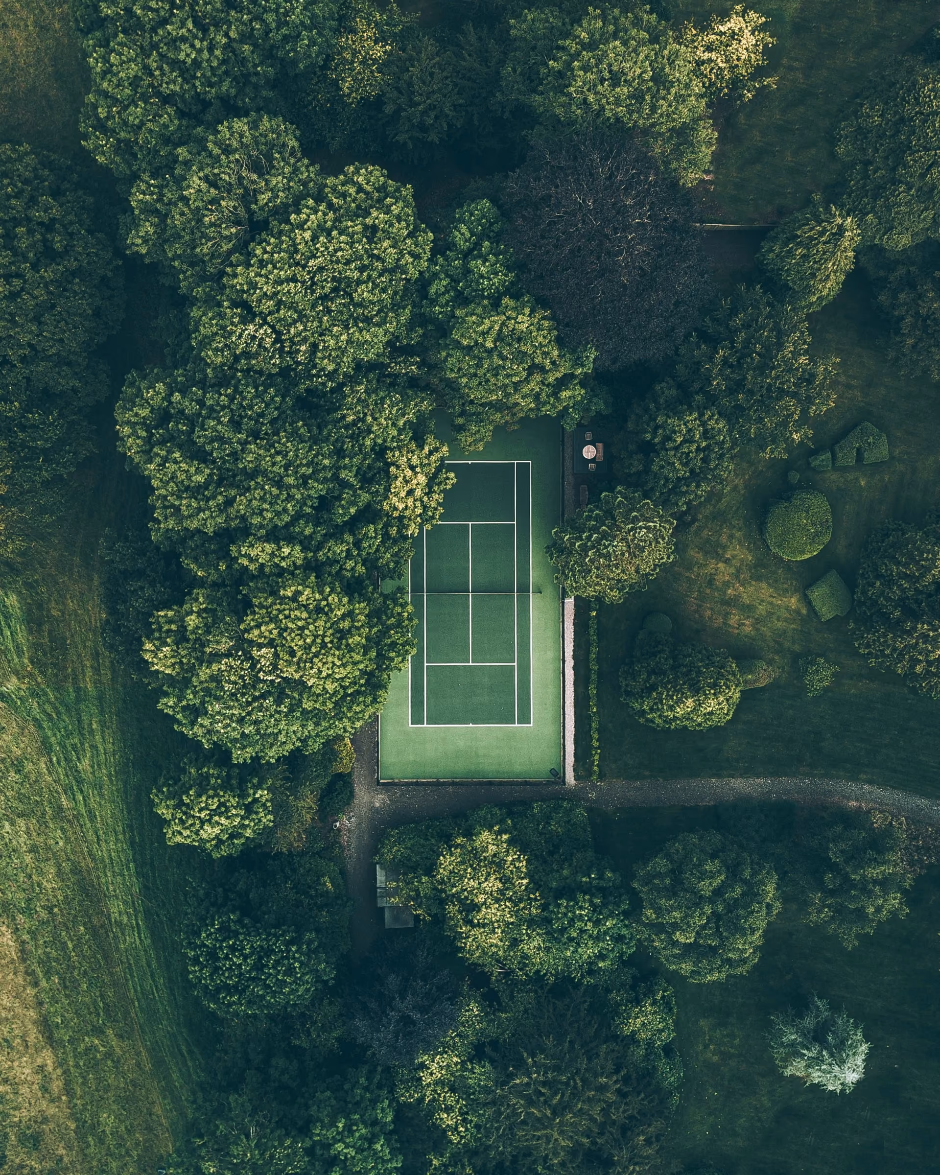 Court de tennis isolé au milieu des arbres, vu du ciel